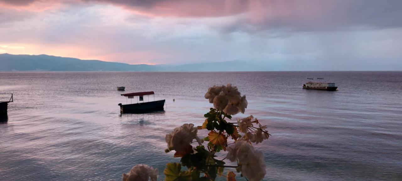 Villa Dea Ohrid Kültér fotó